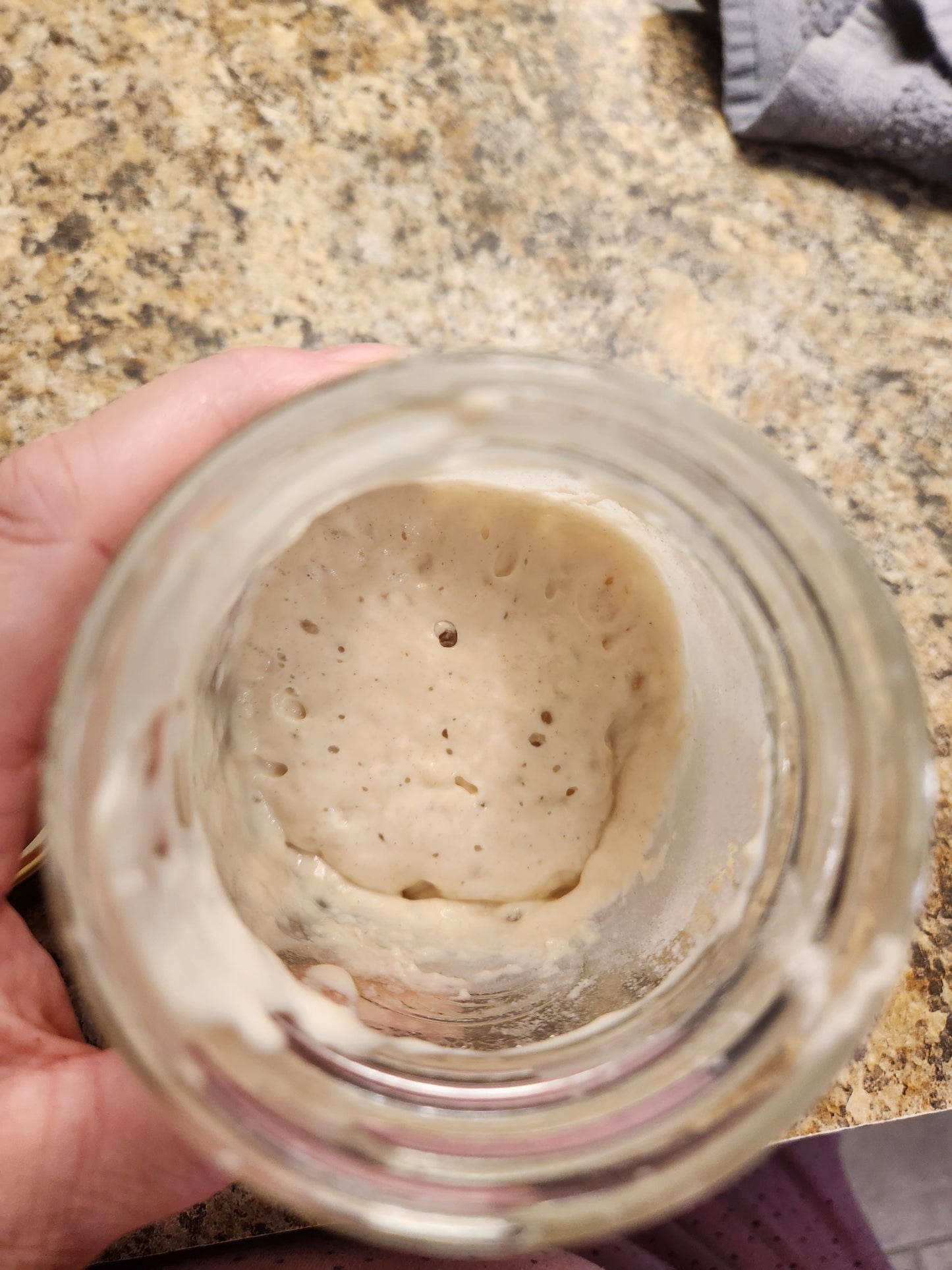 "Gertie" Sourdough Starter - 1 oz
