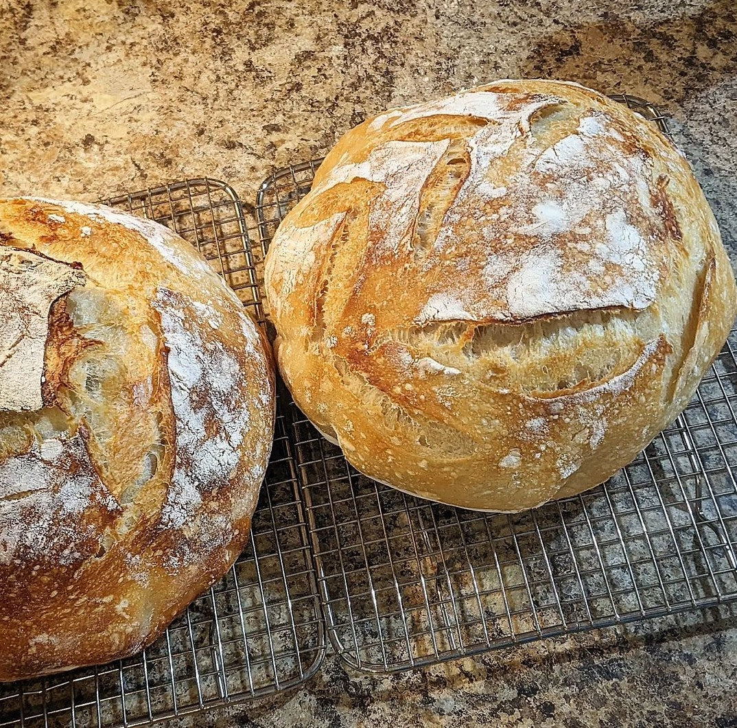 "Gertie" Sourdough Starter - 1 oz