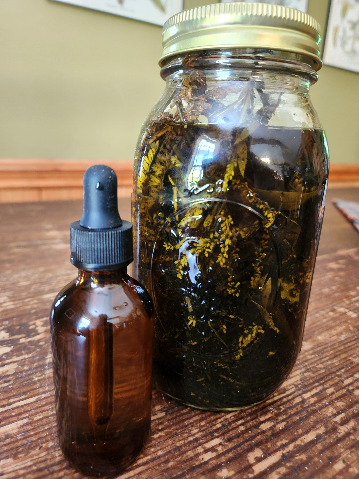 Goldenrod & Nettle Tincture: 2 oz dropper bottle