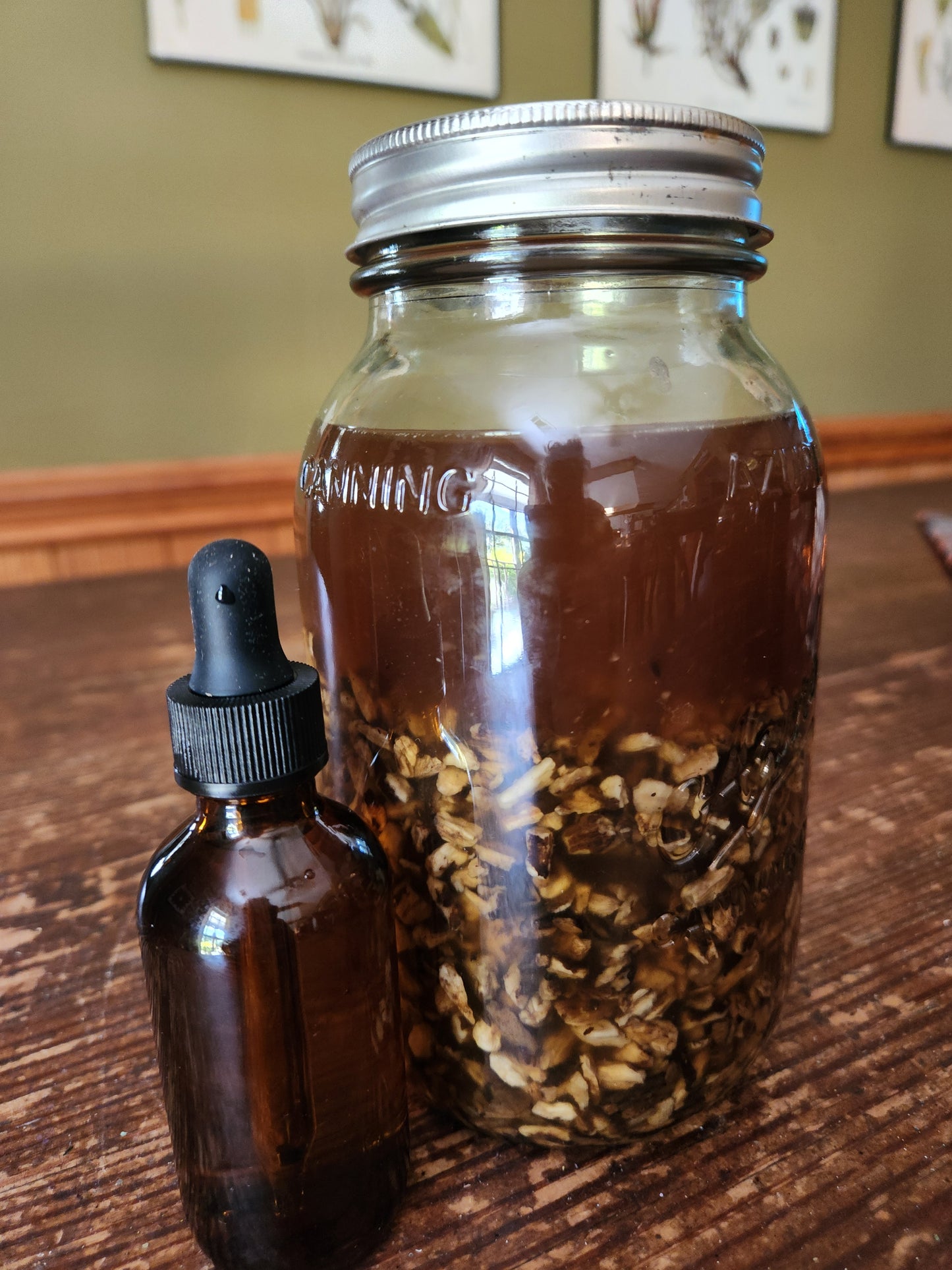 Burdock Root Tincture - 2 oz Dropper Bottle
